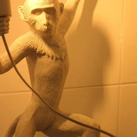 Daire Nid Cosy Au Ideal Pour Escapade Romantique